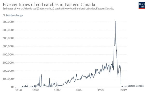 pesca de bacalao en Canadá